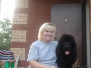 Превью фото № 132834