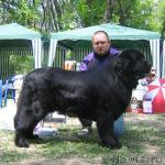 Превью фото № 13285