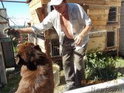 Превью фото № 132851