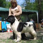 Превью фото № 13287