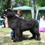 Превью фото № 13288