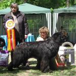 Превью фото № 13291