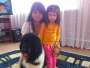 Превью фото № 132925