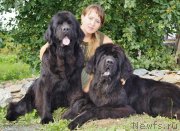 Превью фото № 132935