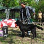 Превью фото № 13298