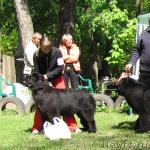 Превью фото № 13300