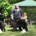 Превью фото № 13301