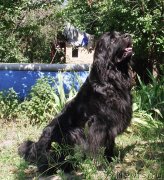 Превью фото № 133028