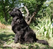 Превью фото № 133029