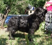 Превью фото № 133038