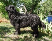 Превью фото № 133040