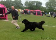 Превью фото № 133077