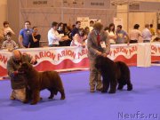 Превью фото № 133078