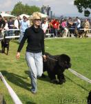 Превью фото № 13310