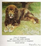 Превью фото № 133142