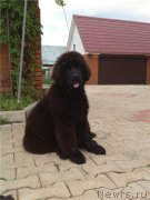 Превью фото № 133159