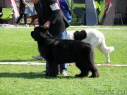 Превью фото № 133186