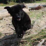 Превью фото № 133192