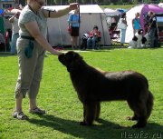 Превью фото № 133193