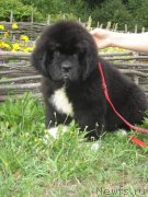 Превью фото № 133349