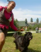 Превью фото № 133364