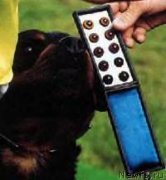 Превью фото № 133387