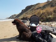 Превью фото № 133488