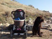 Превью фото № 133491