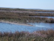 Превью фото № 133503