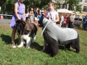 Превью фото № 133579