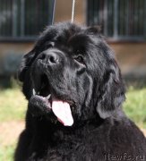 Превью фото № 133587