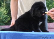 Превью фото № 133589