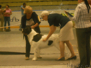 Превью фото № 133618