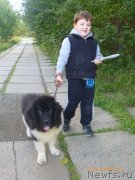 Превью фото № 133757