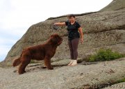 Превью фото № 133764