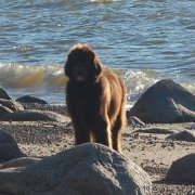 Превью фото № 133799