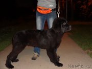 Превью фото № 133849