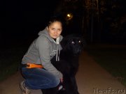 Превью фото № 133850