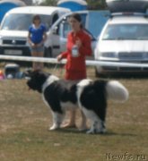 Превью фото № 133863