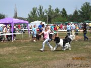 Превью фото № 133890