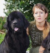 Превью фото № 133903