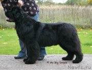 Превью фото № 133943