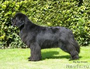 Превью фото № 133944