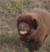 Превью фото № 134019