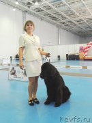 Превью фото № 134030