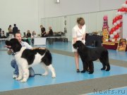 Превью фото № 134031