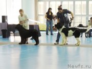 Превью фото № 134032