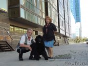 Превью фото № 134034