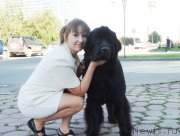 Превью фото № 134036