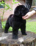 Превью фото № 134076